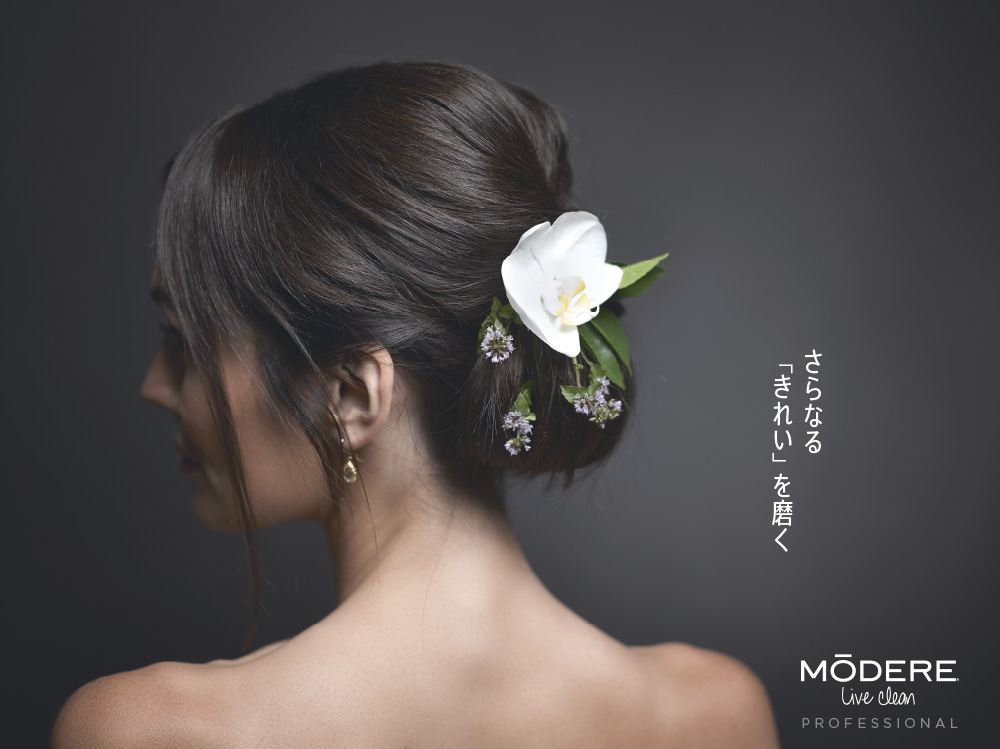 Japan Professional Line salon print ad